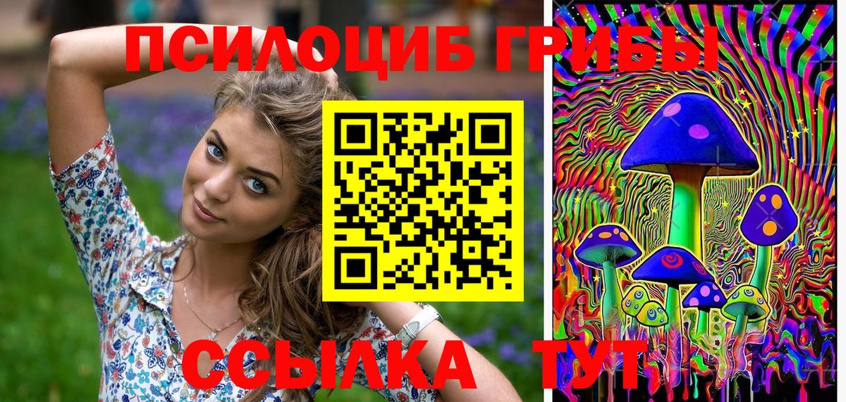 Псилоцибиновые грибы MAGIC MUSHROOMS  Вход с VPN  Родники 